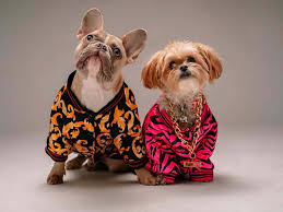 Pet Cloth and Accesories