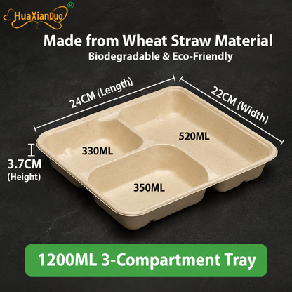 Biodegradable in several Compartment Pulp Meal Boxes – Disposable Food Containers for Takeout, Catering, Fast Food, Salads & Meal Sharing
