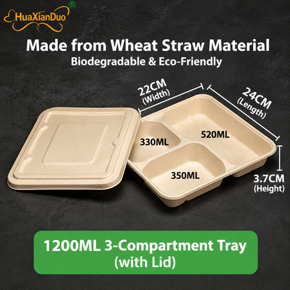 Biodegradable in several Compartment Pulp Meal Boxes – Disposable Food Containers for Takeout, Catering, Fast Food, Salads & Meal Sharing