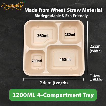 Biodegradable in several Compartment Pulp Meal Boxes – Disposable Food Containers for Takeout, Catering, Fast Food, Salads & Meal Sharing