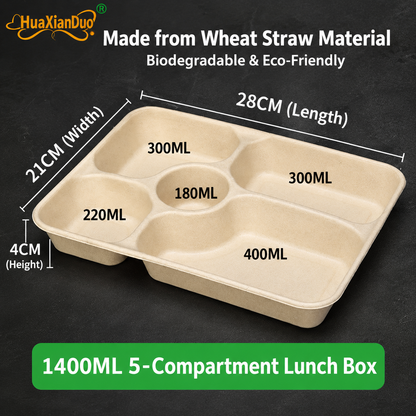 Biodegradable in several Compartment Pulp Meal Boxes – Disposable Food Containers for Takeout, Catering, Fast Food, Salads & Meal Sharing