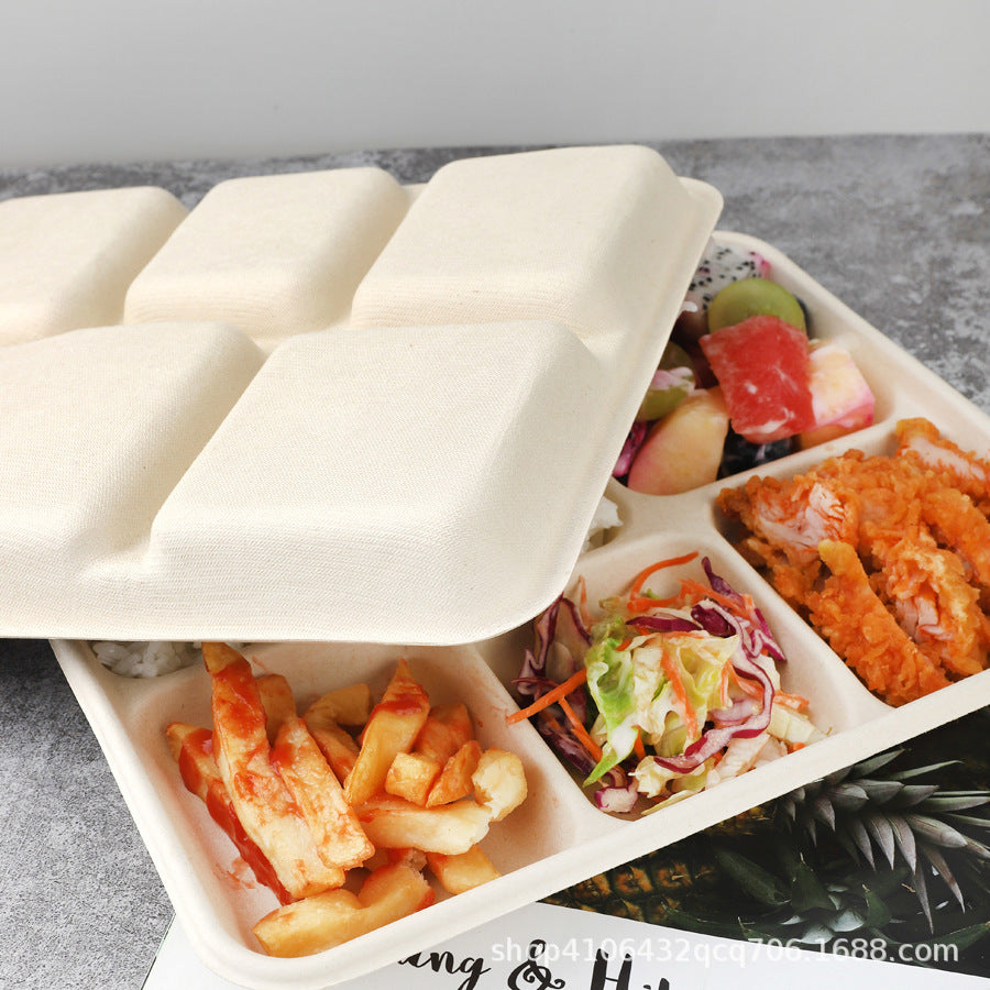 Disposable Biodegradable Five-Compartment Food Tray – Eco-Friendly Lunch Box, Paper Plate & Takeout Dinner Box