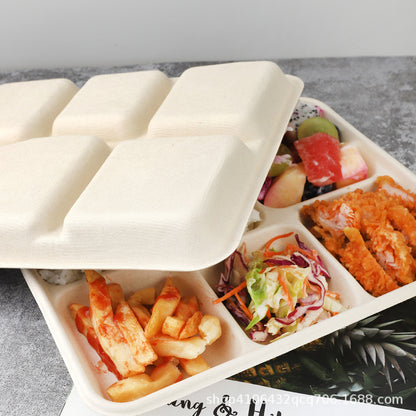 Disposable Biodegradable Five-Compartment Food Tray – Eco-Friendly Lunch Box, Paper Plate & Takeout Dinner Box