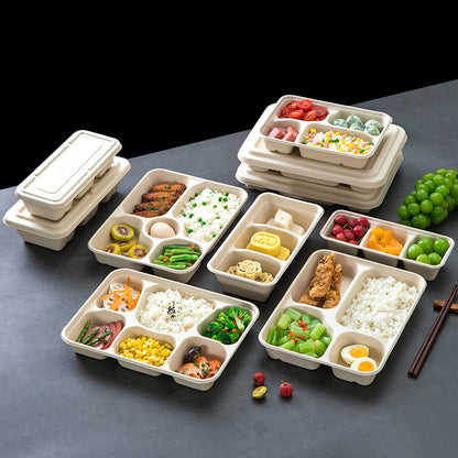 Biodegradable in several Compartment Pulp Meal Boxes – Disposable Food Containers for Takeout, Catering, Fast Food, Salads & Meal Sharing